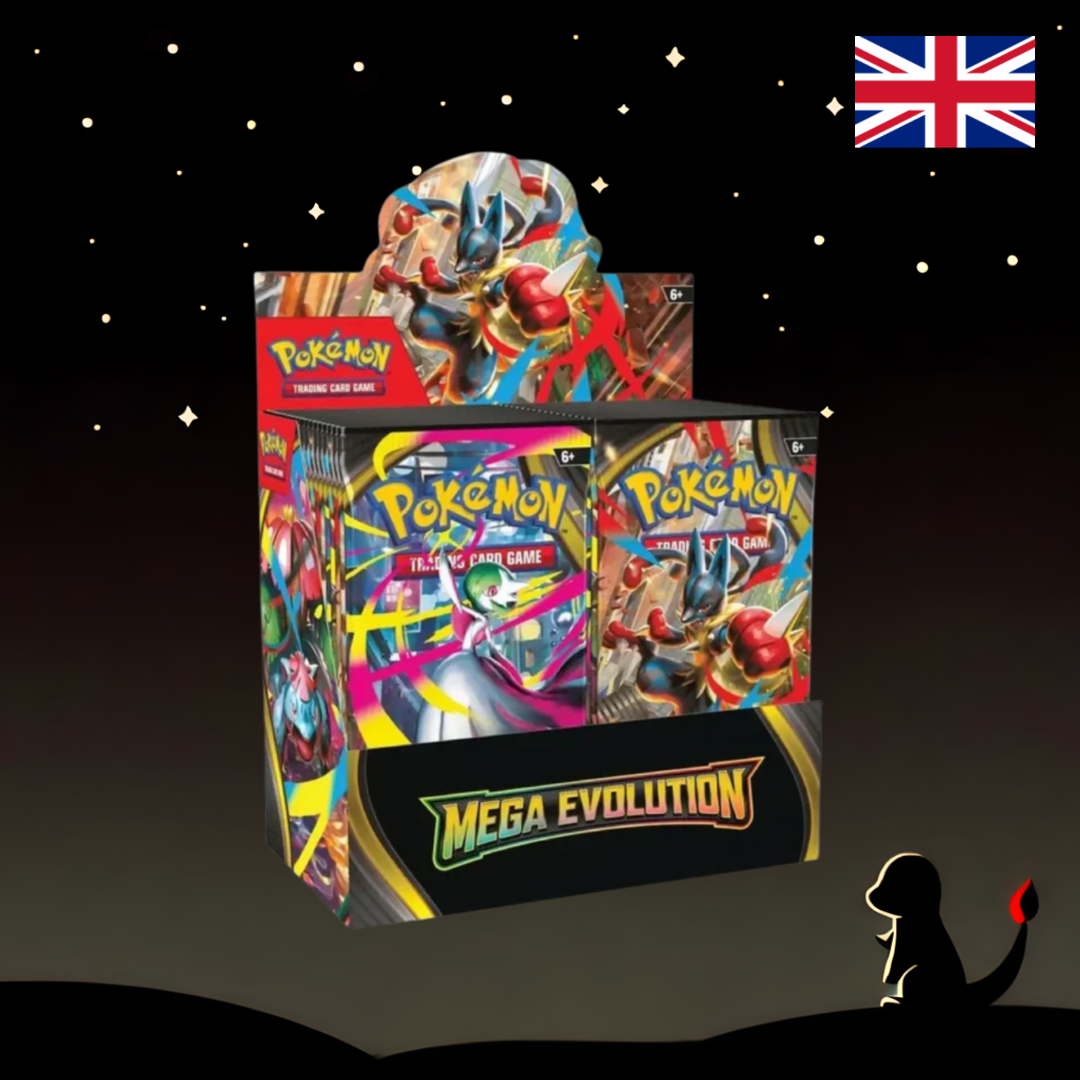 Pokémon Mega Evolution Display English